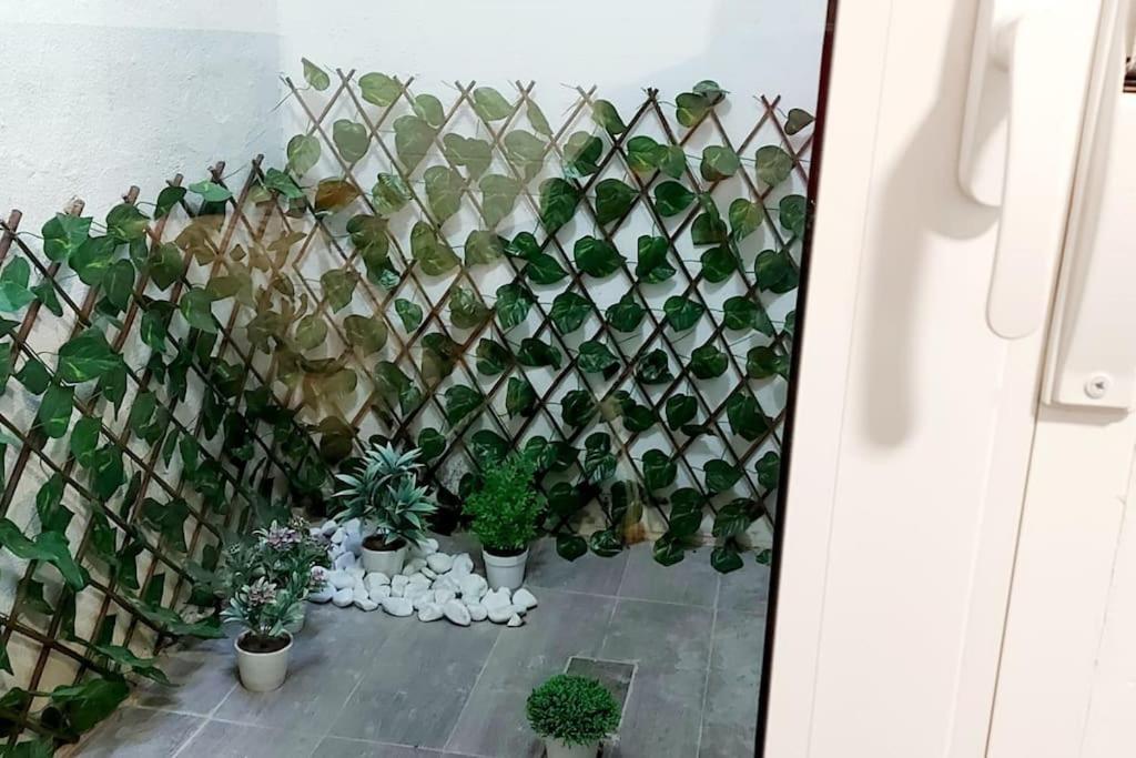 Loft Entero Centro Alicante Eksteriør bilde